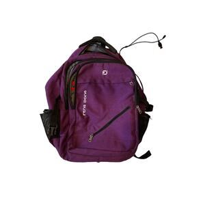 Fengdong Padded Computer Backpack